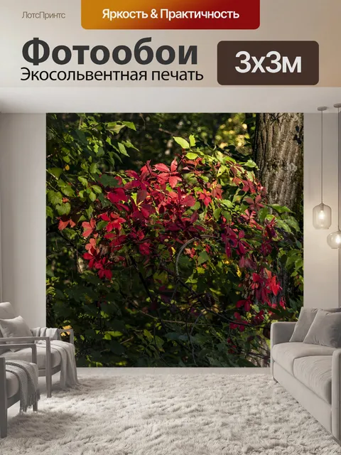 Фотообои Вермонт Осень Цвет