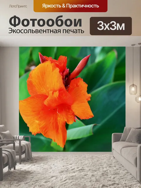Фотообои Канна цветения растений