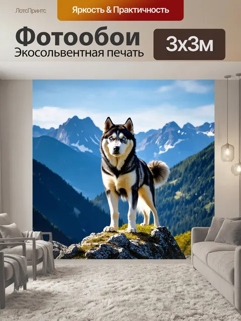 Фотообои хаска, стоящая на вершине горы, с гордостью смотрящая на окружающее величественное пейзаж
