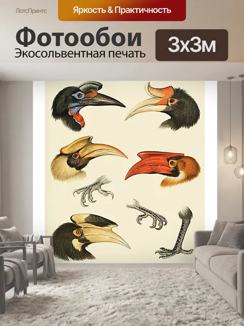 Фотообои Винтаж Арт Птицы Тукан