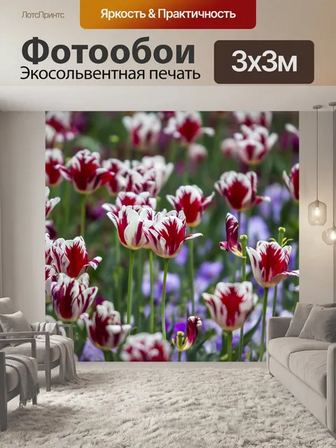 Фотообои Тюльпан