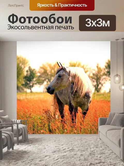 Фотообои Лошадь