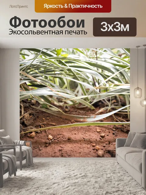 Фотообои Куст