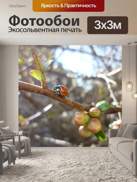 Фотообои Божья коровка