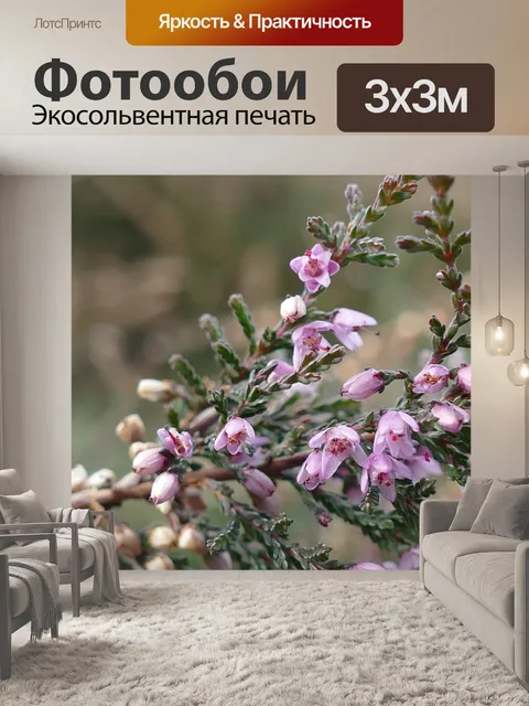 Фотообои Карликовый вереск