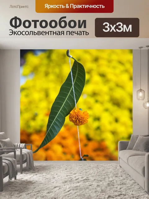 Фотообои Лист