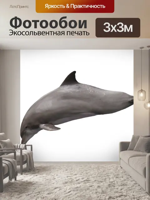 Фотообои Дельфин