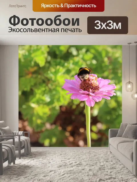 Фотообои Насекомое