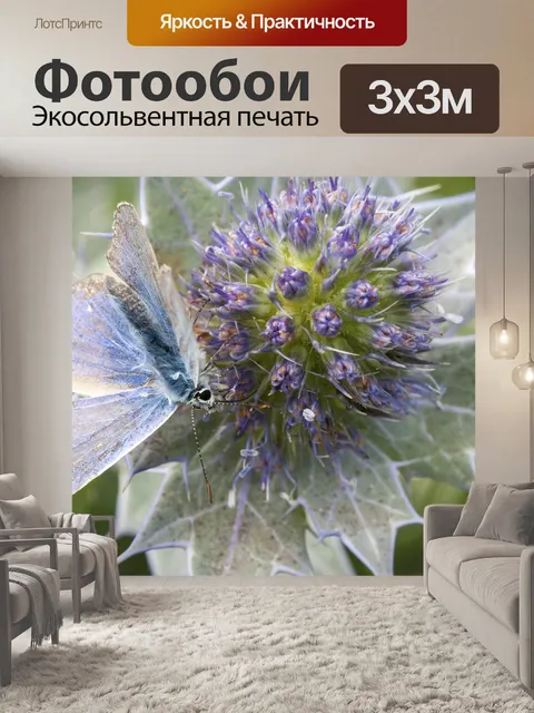 Фотообои Обыкновенная синяя бабочка
