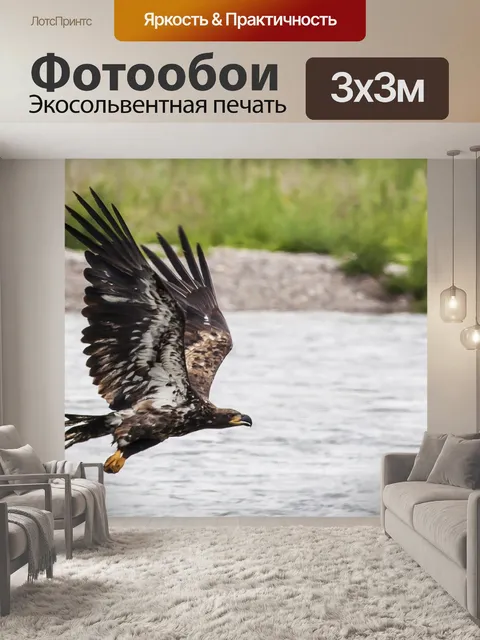 Фотообои Золотой орел