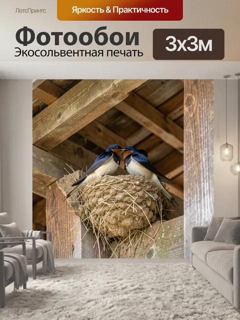 Фотообои Пара ласточек у гнезда