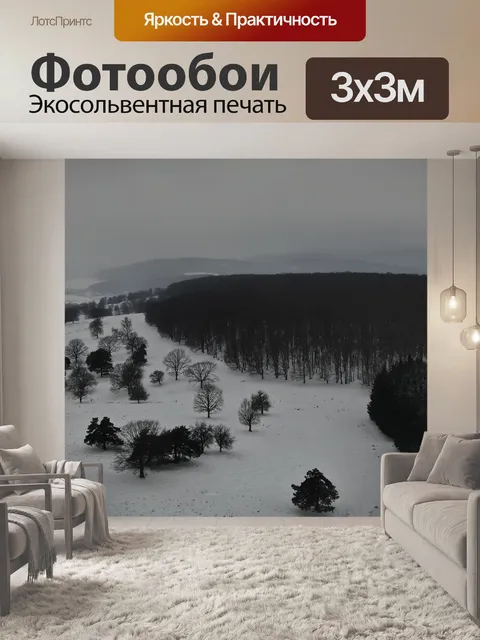 Фотообои Дрон