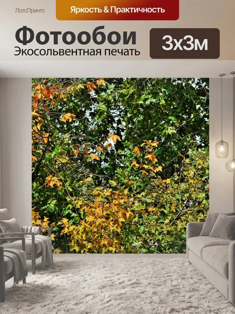 Фотообои зеленый и желтый клен листва