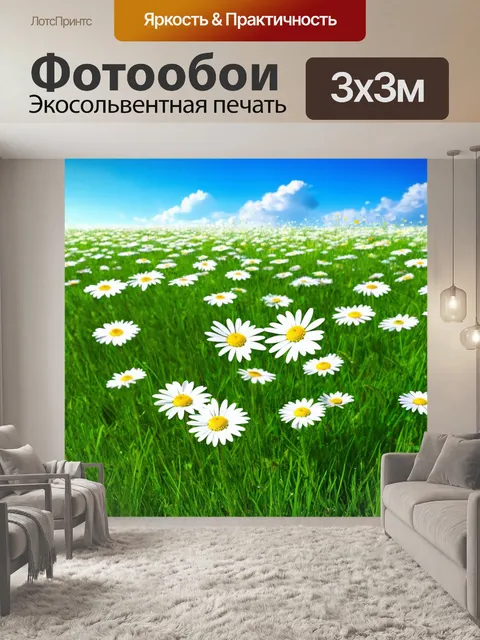 Фотообои поле с белыми ромашками, раскинувшимися среди зеленой травы на фоне весеннего неба