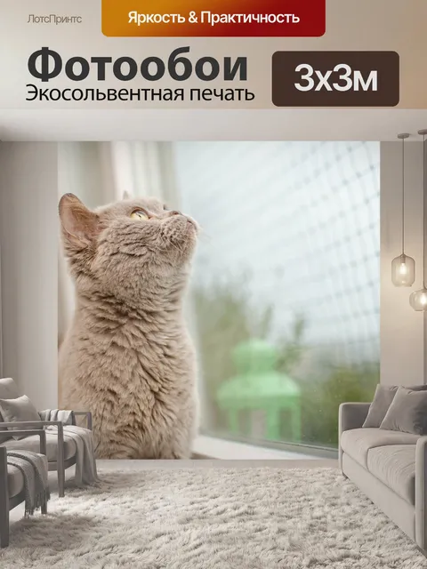 Фотообои Кошка