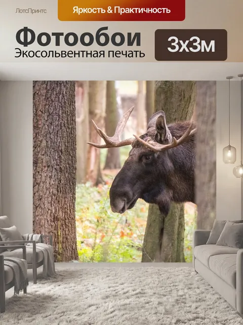 Фотообои Лось