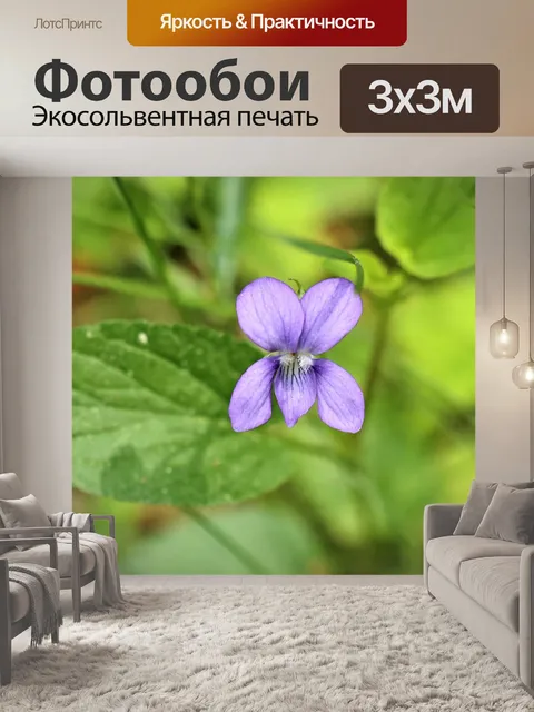 Фотообои Фиолетовый