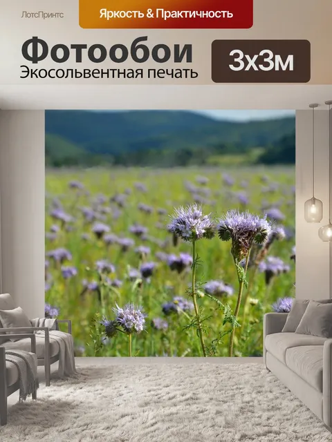 Фотообои Фацелия
