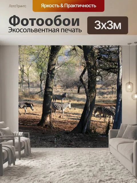 Фотообои зебра между деревьями на солнце