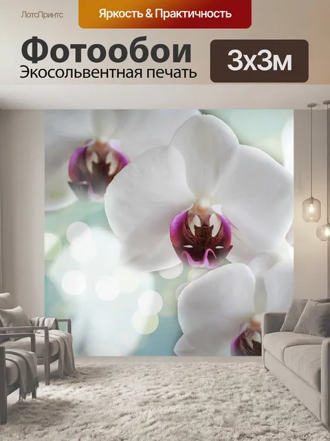 Фотообои Орхидеи