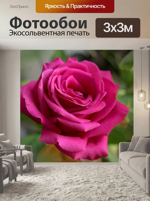 Фотообои Роза
