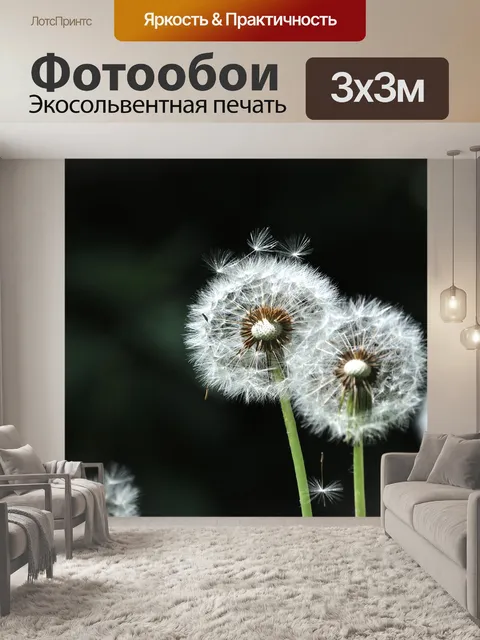 Фотообои Одуванчик