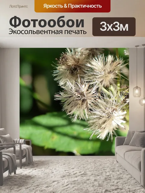 Фотообои Засохший