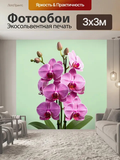 Фотообои Розовые орхидеи на светлом фоне