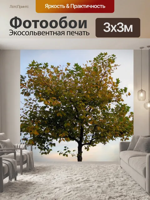 Фотообои дерево осенью
