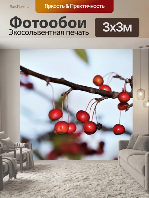 Фотообои Филиал красных ягод зимой