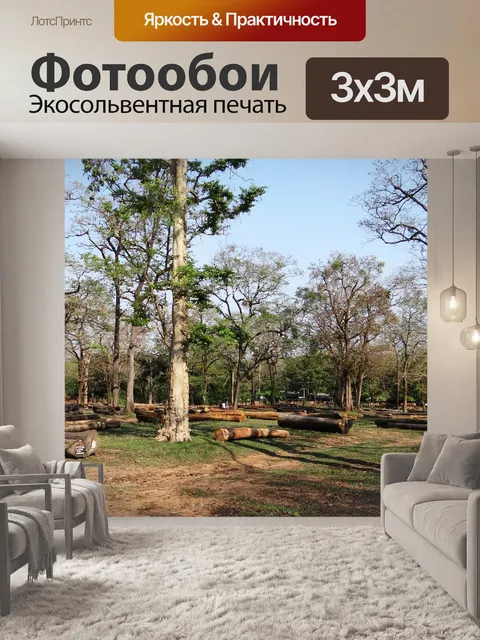 Фотообои Ведение журнала