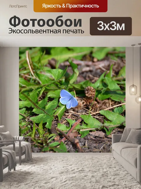 Фотообои Голубой голубоватый