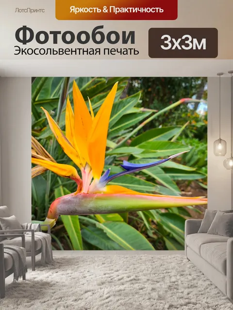 Фотообои Цветок райской птицы