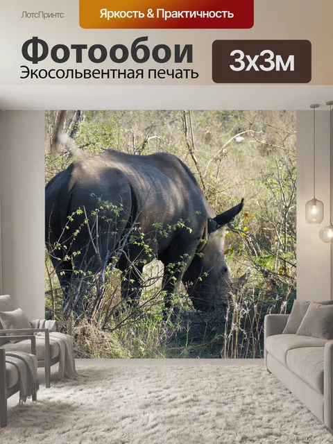 Фотообои Южная африка