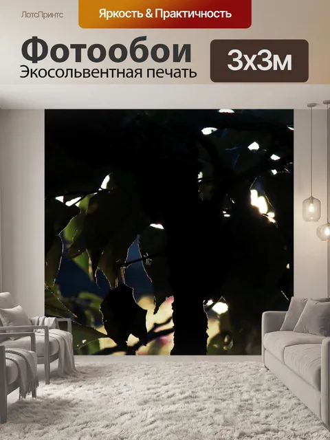 Фотообои солнечный свет между листьями