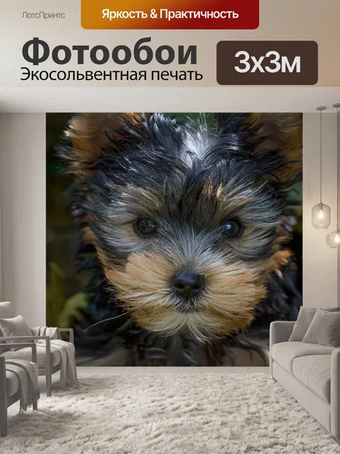 Фотообои Собака