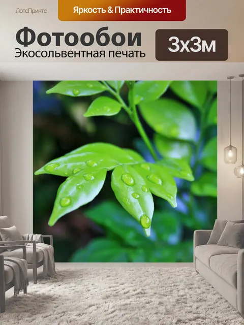 Фотообои мокрые листья экзотики