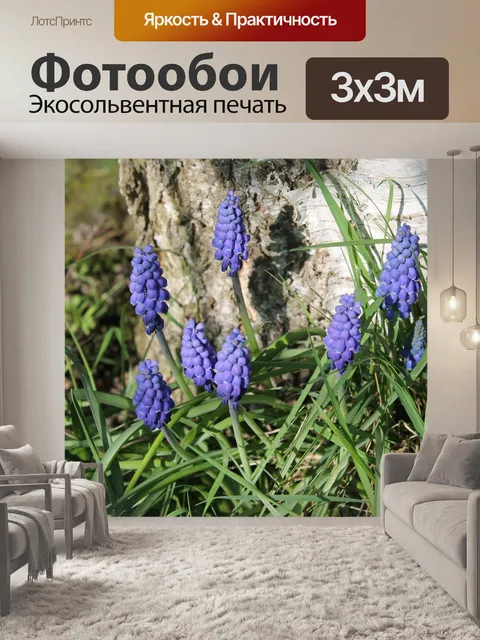 Фотообои Жемчужные гиацинты