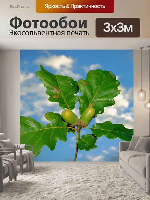 Фотообои Желуди