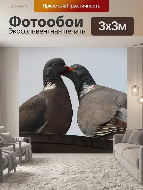 Фотообои Голуби
