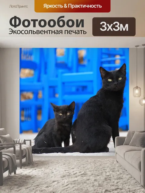 Фотообои Кошки