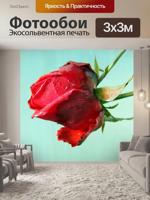 Фотообои Роза