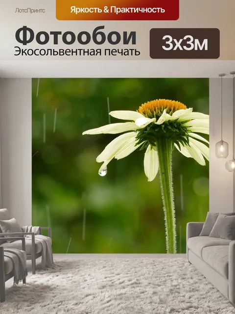 Фотообои Дождь