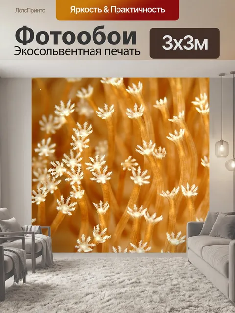 Фотообои Коралловый