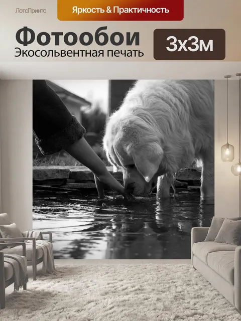 Фотообои Dog