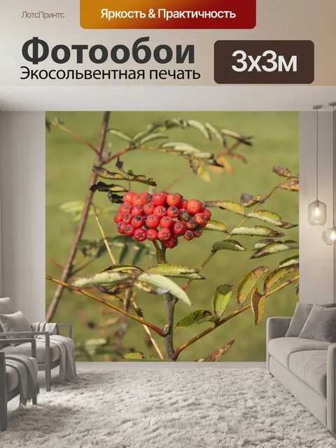 Фотообои Пепел