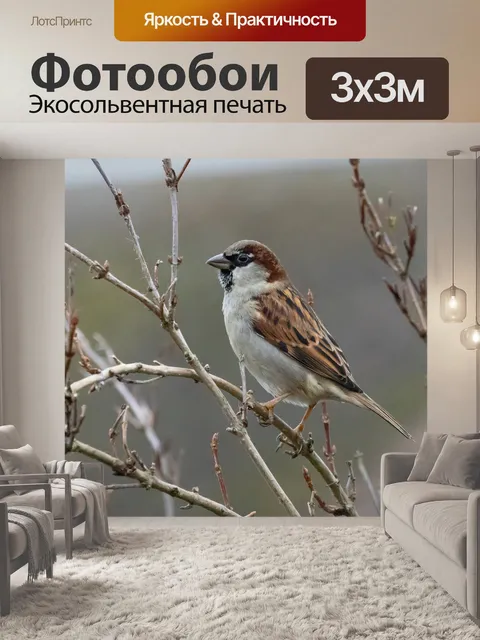 Фотообои Воробей