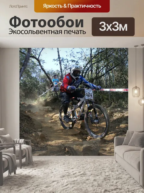 Фотообои Спуск
