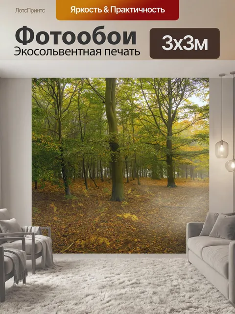 Фотообои Туманный лес