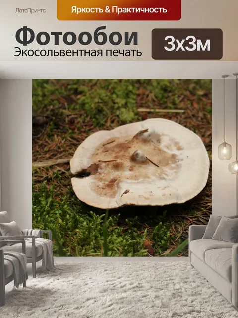 Фотообои Wild Brown Mushroom Мосс